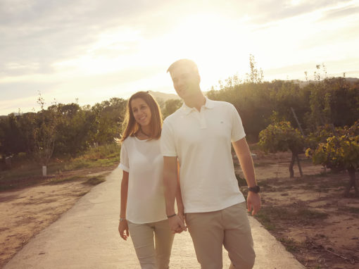 🔒 david + judit (preboda)
