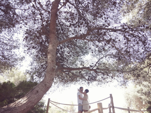 🔒 sergi + alba (preboda)