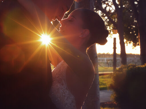 🔒 ester + aleix (convidats)